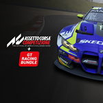 *Assetto Corsa Competizione PSN Турция*