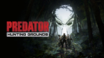 *Predator Hunting Grounds PSN Турция*