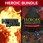 *Heroes of Hammerwatch PSN Турция*