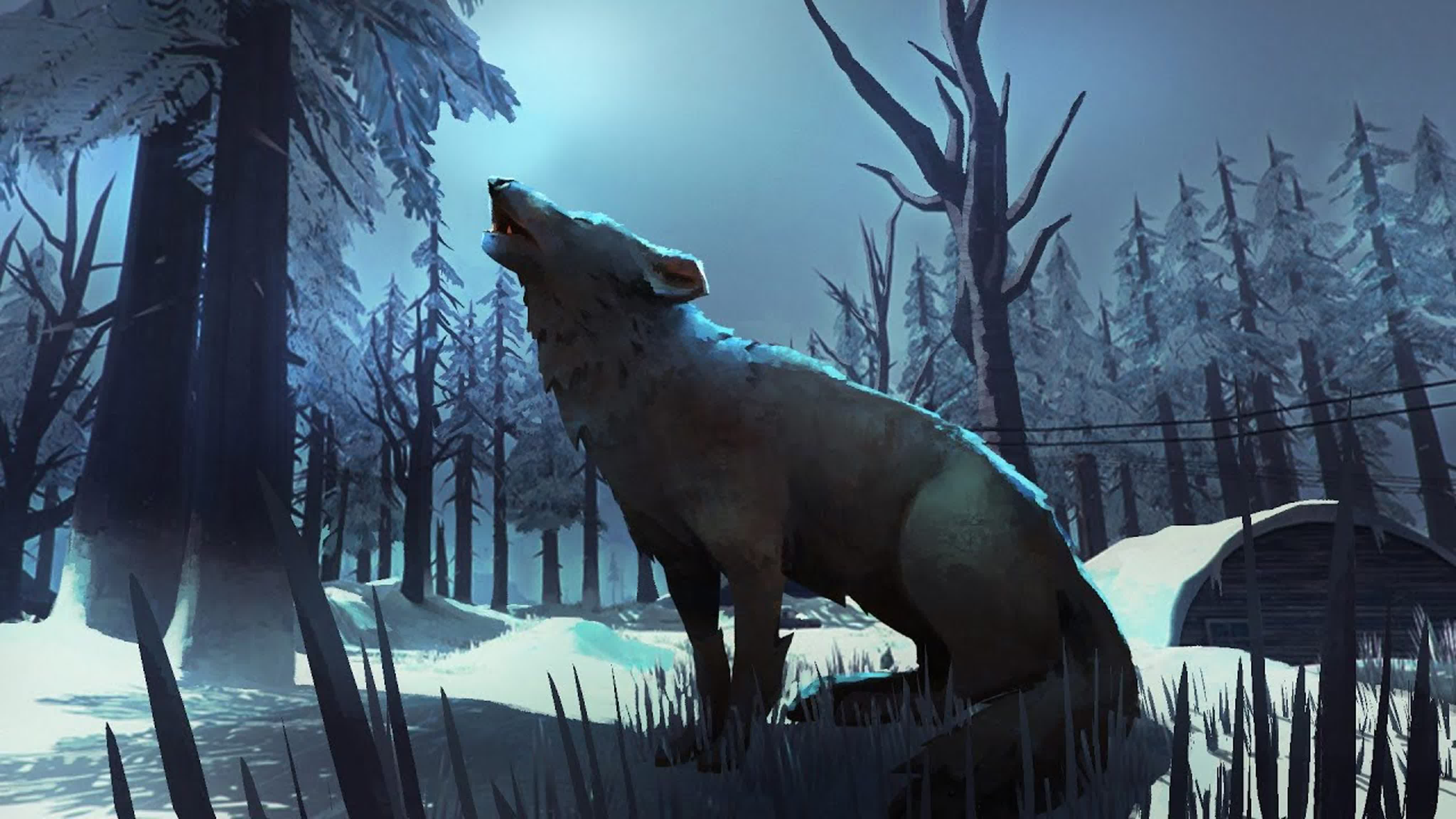 Код лонг дарк. The long Dark. Волк зе Лонг дарк. Зе Лонг дарк сталкер. Лонг дарк в 2023.