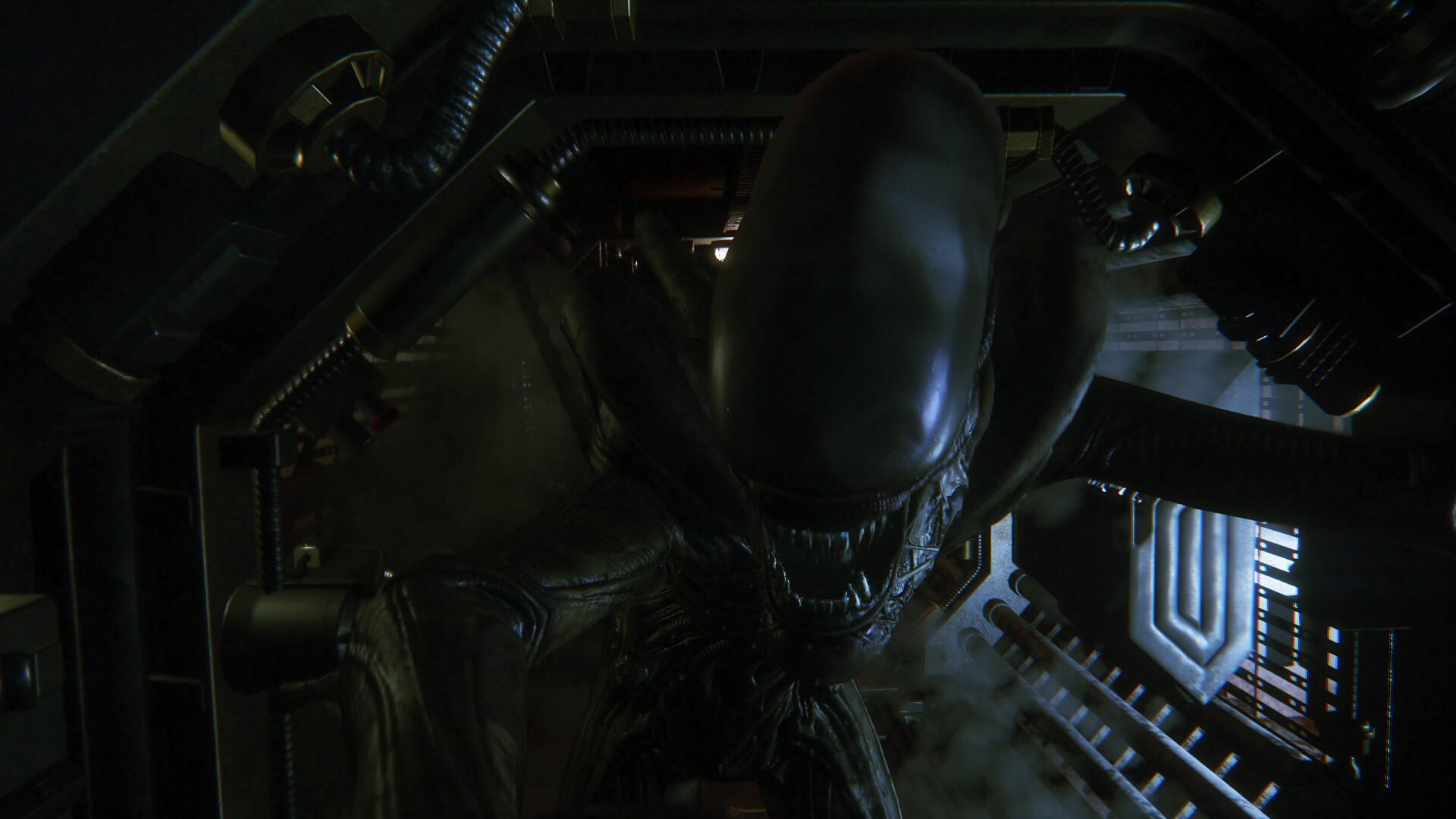 Alien isolation картинки