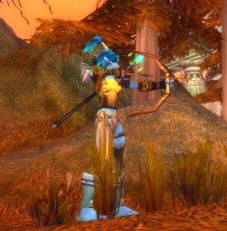 Horde Leveling guide