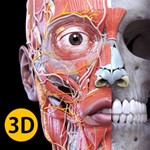 Anatomy 3D Atlas Full Version Windows ПК Активация