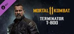 Mortal Kombat 11 - Terminator T-800 [Steam RU]