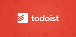 Todoist Pro | Subscription 1/12 months to your account - irongamers.ru