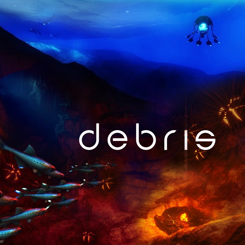 Debris Xbox One Edition XBOX ONE / XBOX SERIES X|S 🔑