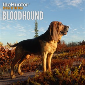 theHunter: Call of the Wild™ - Bloodhound XBOX ONE 🔑