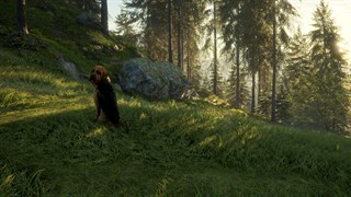 theHunter: Call of the Wild™ - Bloodhound XBOX ONE 🔑