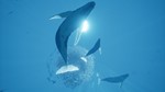 ABZU XBOX ONE / XBOX SERIES X|S [ Игровой Ключ * Код ]