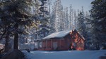 Life is Strange 2: полное издание XBOX [ Ключ * ]