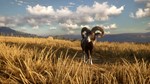 theHunter: Call of the Wild™ - Diamond Bundle XBOX *