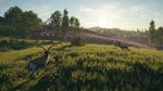 theHunter: Call of the Wild™ - Diamond Bundle XBOX *
