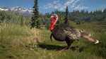 theHunter: Call of the Wild™ - Diamond Bundle XBOX *