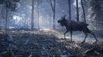 theHunter™: Call of the Wild - Medved-Taiga XBOX Код *