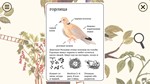 Little Mouse´s Encyclopedia XBOX [ Ключ * Код ]
