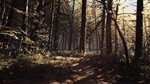 Blair Witch XBOX / WINDOWS [ Игровой Ключ * Код ]