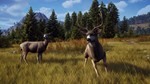 Way of the Hunter: Elite Edition XBOX SERIES X|S Код*