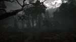 Stray Souls XBOX ONE / XBOX SERIES X|S [ Ключ * Код ]