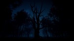Slender: The Arrival XBOX SERIES X|S [ Ключ * Код ]