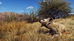 Way of the Hunter - Tikamoon Plains XBOX SERIES X|S *