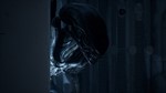 Dead by Daylight Набор главы *Чужой* XBOX [ Ключ * ]
