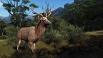 Way of the Hunter - Matariki Park XBOX SERIES X|S Код*