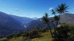 Way of the Hunter - Matariki Park XBOX SERIES X|S Код*