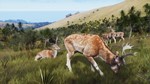 Way of the Hunter - Matariki Park XBOX SERIES X|S Код*