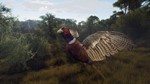 Way of the Hunter - Matariki Park XBOX SERIES X|S Код*