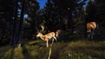 Way of the Hunter*STEAM GIFT AUTO*RU/УКР/КЗ/СНГ