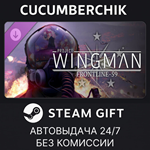 Project Wingman - Frontline 59 Campaign*STEAM GIFT*