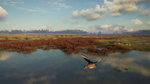 theHunter: Call of the Wild™ - Salzwiesen Park*STEAM