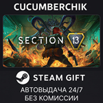 Section 13*STEAM GIFT AUTO*RU/УКР/КЗ/СНГ
