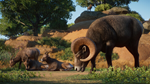 Planet Zoo: Americas Animal Pack*STEAM GIFT AUTO*RU+МИР