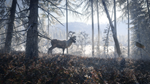 theHunter: Call of the Wild™ - Medved-Taiga*STEAM GIFT*