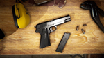 Gunsmith Simulator - Fabryka Broni Radom*STEAM GIFT*