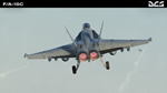 DCS: F/A-18C*STEAM GIFT AUTO*RU/УКР/КЗ/СНГ