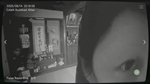 Japan Stigmatized Property*STEAM GIFT AUTO*RU+МИР