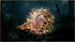 Last Epoch - Primal Templar Supporter Pack*STEAM GIFT*