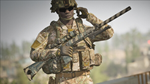 Squad Weapon Skins - Second Tour Pack*STEAM GIFT AUTO*