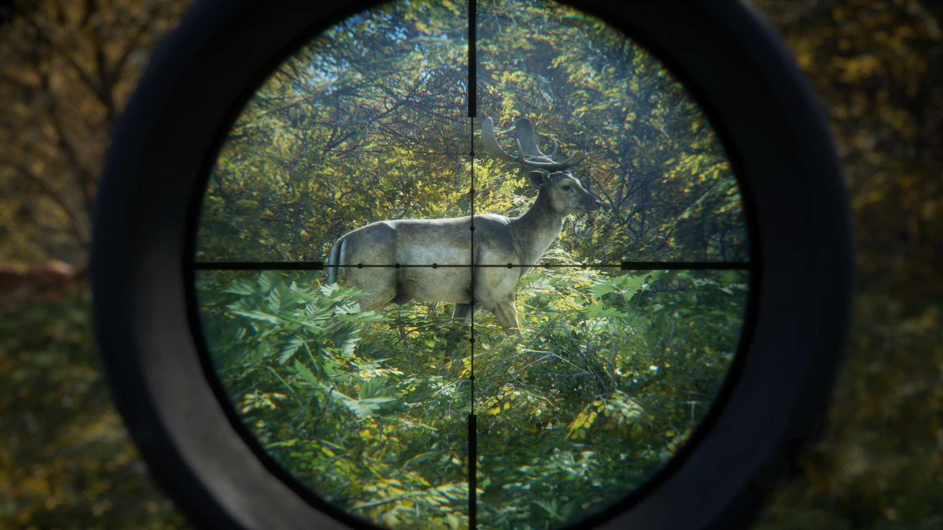 Buy Thehunter Call Of The Wild 21 Edition Xbox And Download