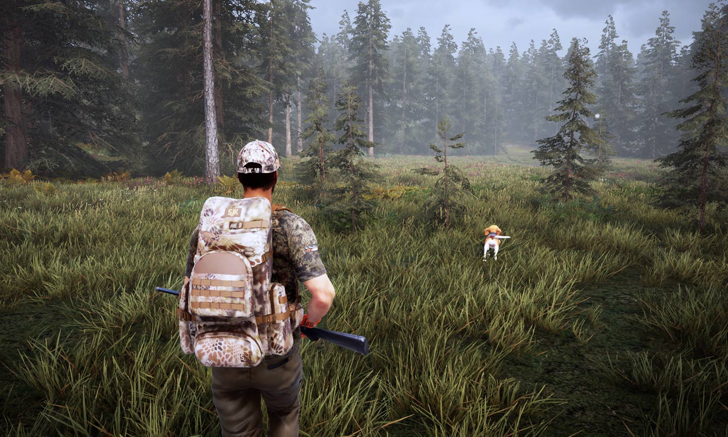 Hunting simulator 2 colorado карта