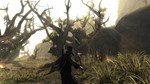 *Risen 1 Xbox One / Xbox Series X|S КЛЮЧ* + GIFT*