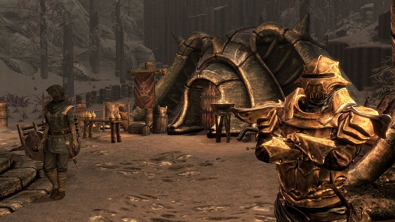 the elder scrolls 4 ? oblivion