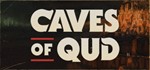 Caves of Qud | steam gift RU*