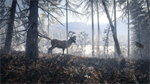 *theHunter: CALL OF THE WILD MASTER HUNTER XBOX*КЛЮЧ