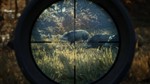 *theHunter: CALL OF THE WILD MASTER HUNTER XBOX*КЛЮЧ