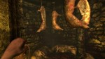 **AMNESIA: COLLECTION XBOX ONE / SERIES X|S*КЛЮЧ*