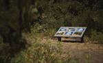 **LUSHFOIL PHOTOGRAPHY SIM XBOX SERIES X|S*КЛЮЧ*