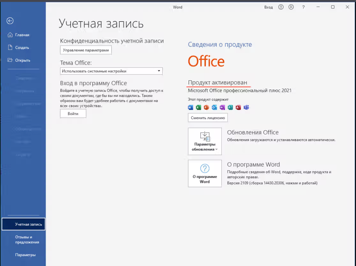 Office 2021 Pro Plus🔑 Binding/Microsoft Partner ✅